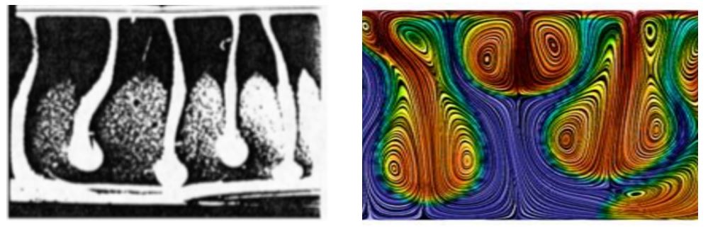 Bacterial bioconvection in viscous fluids: experiments and simulation